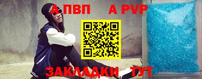 мет Кингисепп