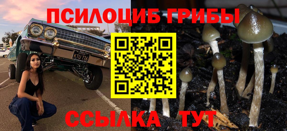Донецк  Галлюциногенные грибы Cubensis  Вход с VPN 